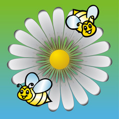COLORFUL DAISIES meadow with bees background, vector