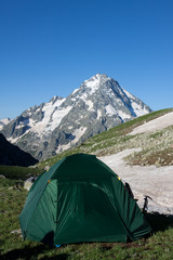 Green camping tent on sunny grassland.