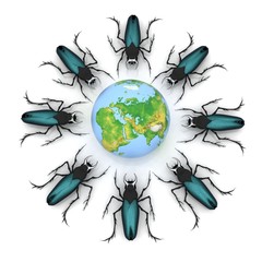 beetles attacking the earth