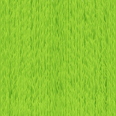 Grass