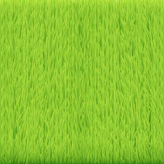 Grass