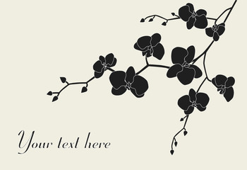 Stylized orchid branch design with copy-space