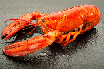 boiled lobster-aragosta bollita