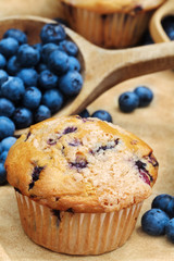 Blueberry Muffins