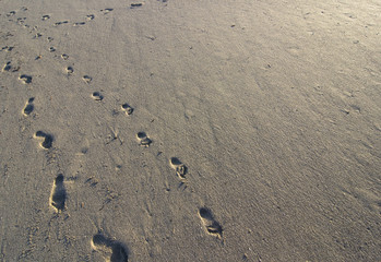 Fototapeta na wymiar Footprints in Sand