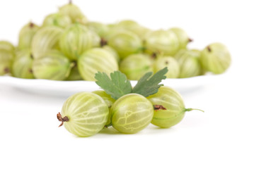 gooseberries