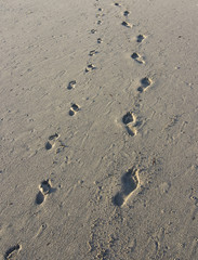 Footprints in Sand