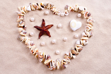 seashells in sand