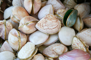 Conchiglie porta oggetti