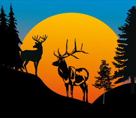two deers in forest at sunset