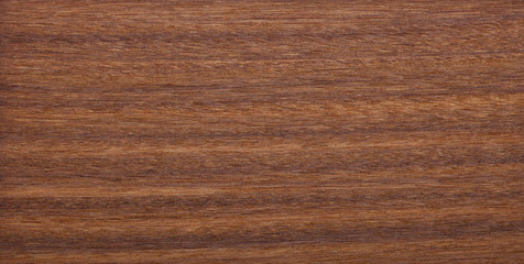 Holz