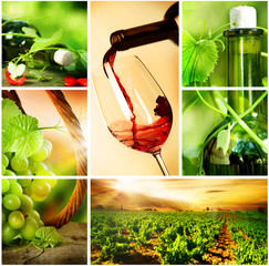 Wine.Beautiful Grapes Collage