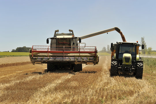 Moissoneuse-batteuse