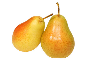 Two ripe pears