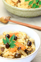 Japanese food(takikomi gohan)