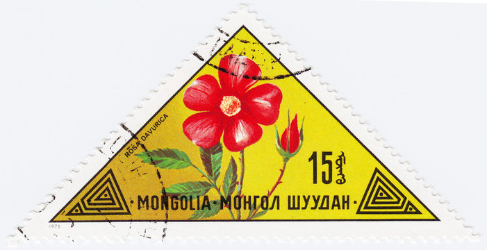 stamp printed in Mongolia shows a flower