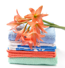 Colourful Towels