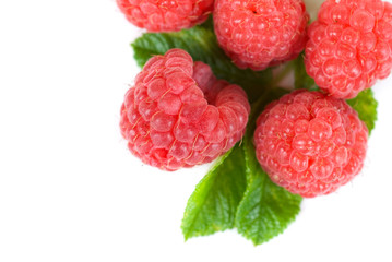 fresh raspberry