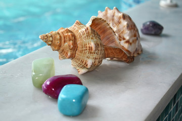gems and shell by the pool