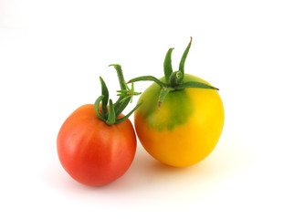 Two tomatoes