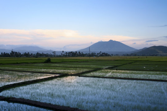 bicol rice paddies sunset philippines