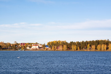 Fototapeta premium A swan floating in a lake