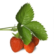 Strawberry with leaves isolated on white