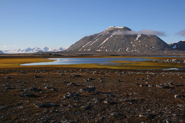 Typical tundra landscape of Spitsbergen