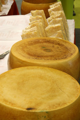 parmigiano