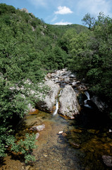 River in the south o France - Cevennes