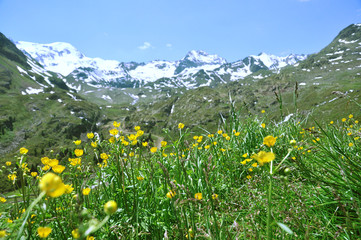 Fototapeta premium Weißseespitze - Kaunertal - Österreich