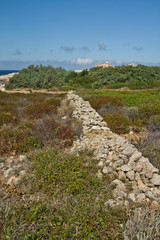 ancien mur dans le maquis corse