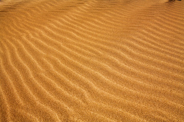 sand dune