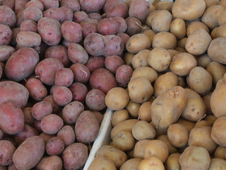 Long Island potatoes
