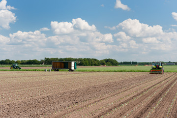 Fototapeta premium Tractor in the fields