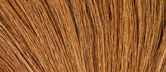 Broom close up