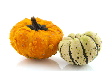 Squashes and pumpkins