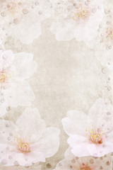Pink and white floral background with watter dots