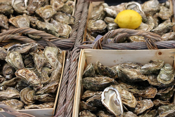 Bac &agrave; huitres au march&eacute;
