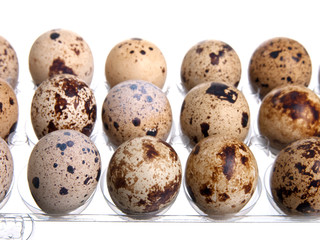 Obraz premium Packing quail eggs