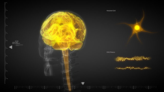 Scan of human brain with brain waves and neurons