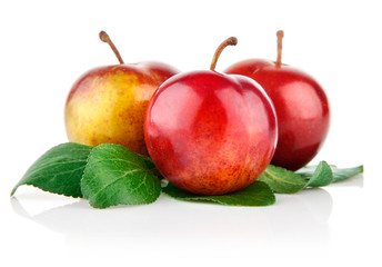 fresh plum fruits with green leaves