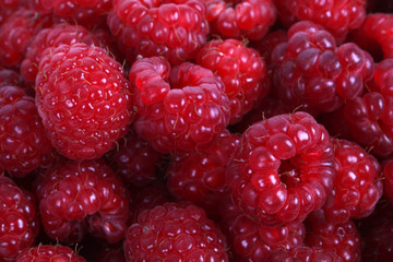 Himbeeren aus der Nähe