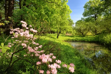 Fotobehang Lente Lentelandschap met vijver  © lite