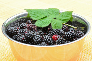 Brombeeren in der Schüssel