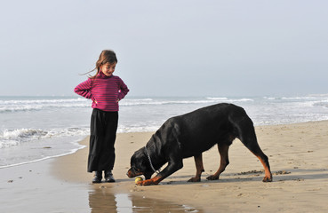 jeu de chien sur la plage