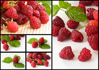 composition framboises