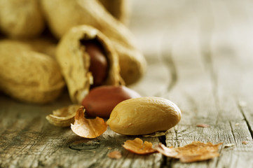 Peanut Closeup