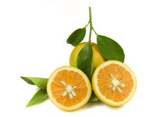 Organic Oranges