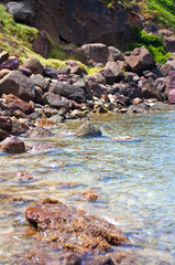 seashore with waves and foam